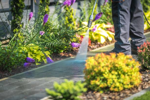 Professional Pressure Washing Services in Roseland, NJ