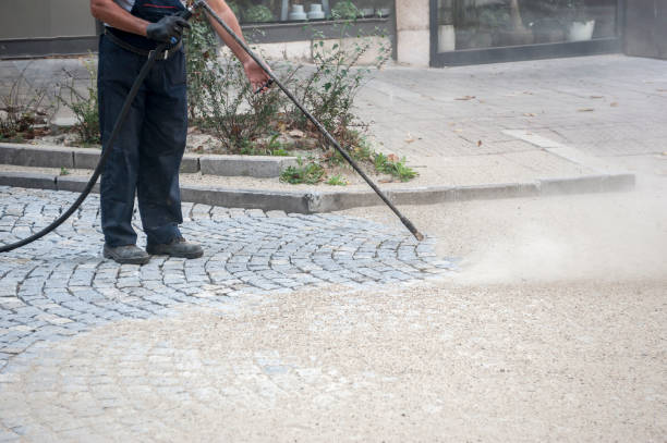 Best Pre-Holiday Cleaning  in Roseland, NJ