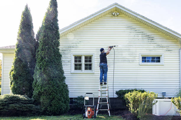 Best Building Exterior Washing  in Roseland, NJ